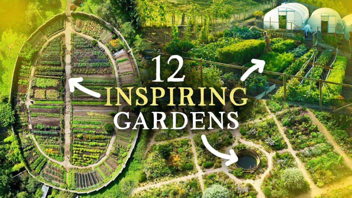 Huw Richards: 2 Hours of Relaxing Gardening Inspiration – Sit Back & Unwind 2 Hours of Relaxing Gardening Inspiration - Sit Back & Unwind