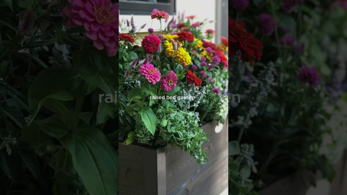 Which garden aesthetic are you?