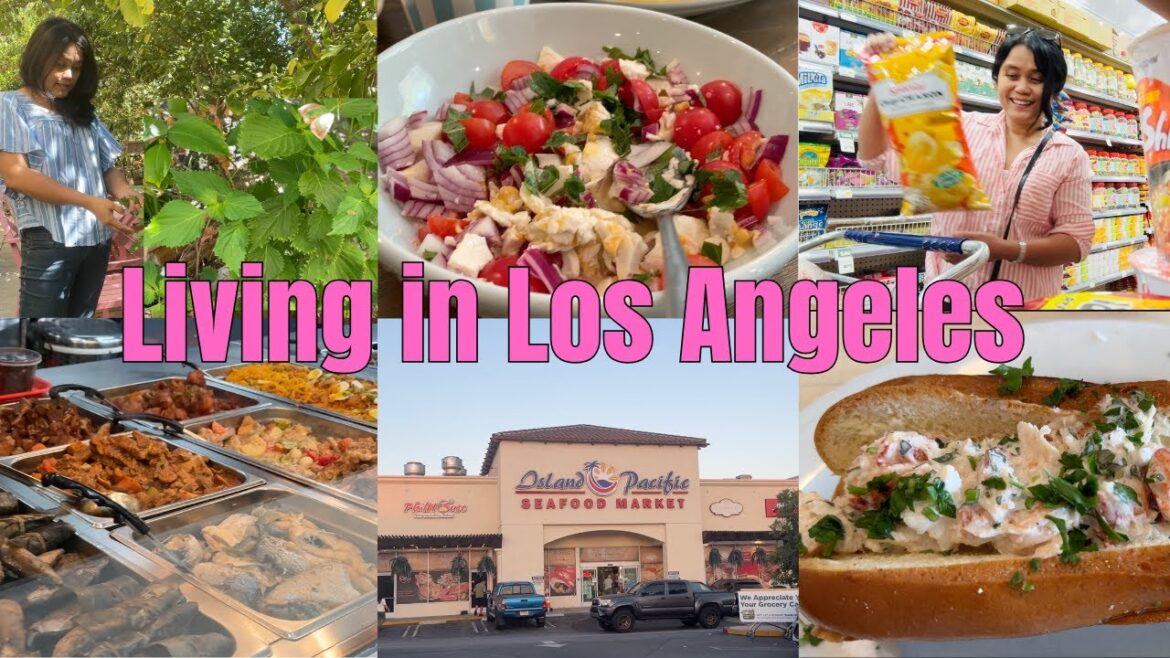 Living in Los Angeles | Home Garden, Filipino Grocery Shopping & Cooking 🌱🛒🦞 #losangeles #pinoyfood Living in Los Angeles | Home Garden, Filipino Grocery Shopping & Cooking 🌱🛒🦞 #losangeles #pinoyfood