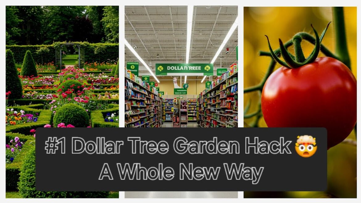 Dollar Tree #1 Garden Hacks| Must Watch For All| A Whole New Way of Gardening | Green Haven Hacks Dollar Tree #1 Garden Hacks| Must Watch For All| A Whole New Way of Gardening | Green Haven Hacks