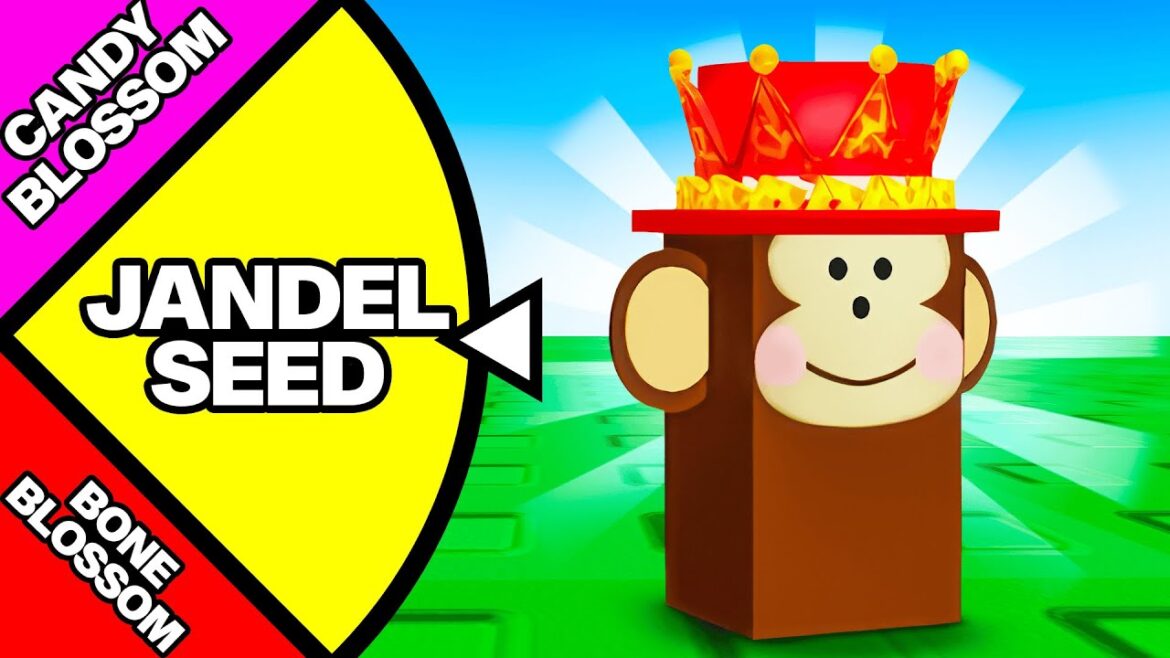 Starting Over But A Wheel Decides My ADMIN SEEDS! Starting Over But A Wheel Decides My ADMIN SEEDS!