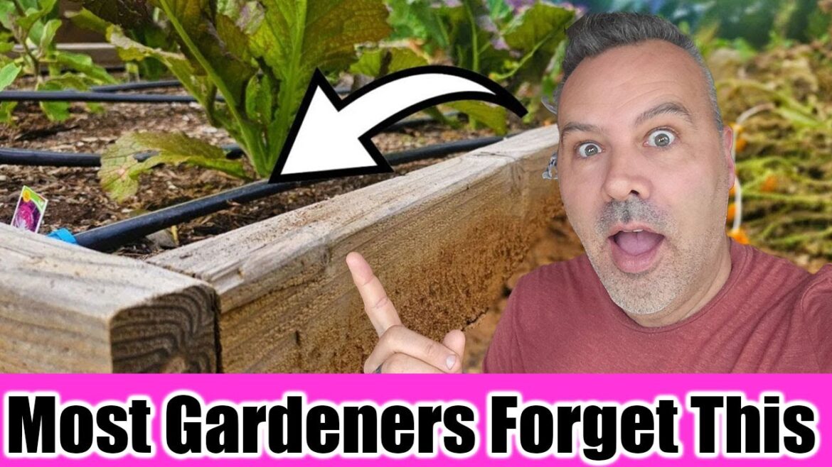 Do THIS Before Winter Hits Your Raised Beds - Any Climate!