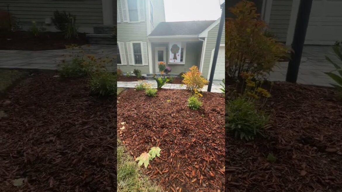 #gardenlife #hardscapedesign #frontyard