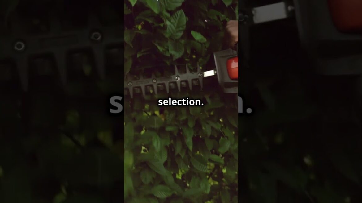 ๐ฟ 25 Best Gardening Black Friday Gifts You MUST See! ๐ #blackfridaygifts ๐ฟ 25 Best Gardening Black Friday Gifts You MUST See! ๐ #blackfridaygifts