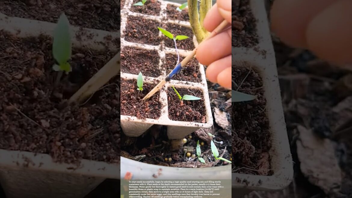 Planting and seedling raising