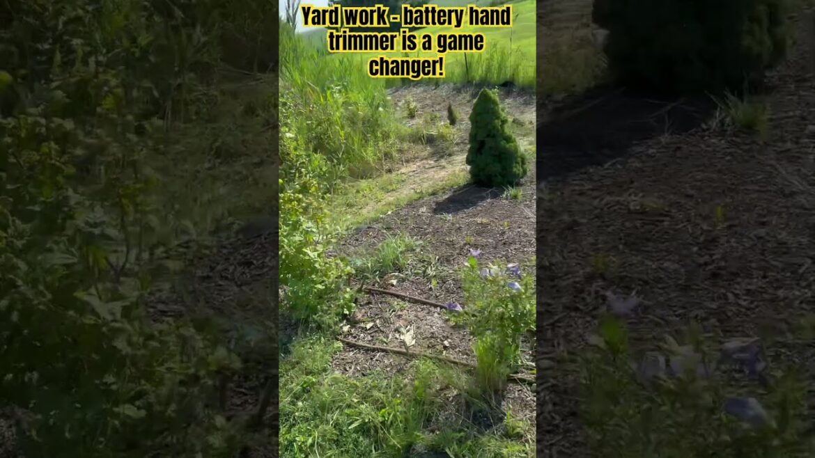 Yard work - hand trimmer is a game changer! #shortsfeed #gardening #gardentools #subscribe  #trends