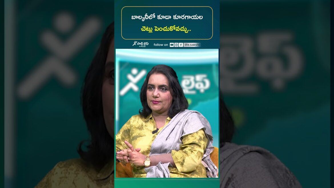 #BalconyGardening #HomeVegetableGarden #UrbanFarming #GrowVegetablesAtHome #VegetablePlants #BalconyGardening #HomeVegetableGarden #UrbanFarming #GrowVegetablesAtHome #VegetablePlants