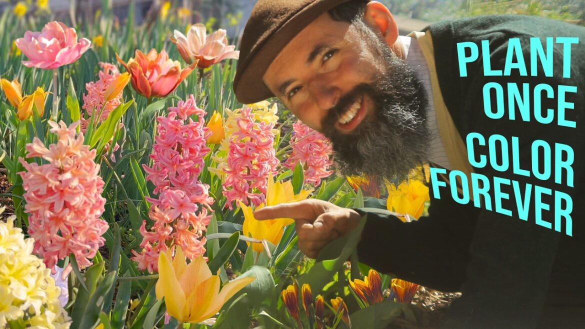 Can I plant Bulbs for non-stop Color?