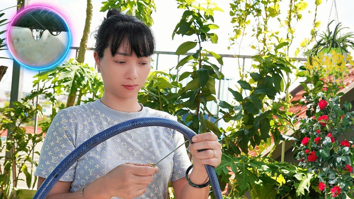 Automatic Drip Irrigation System for Home Garden | Save Water & Time Easily