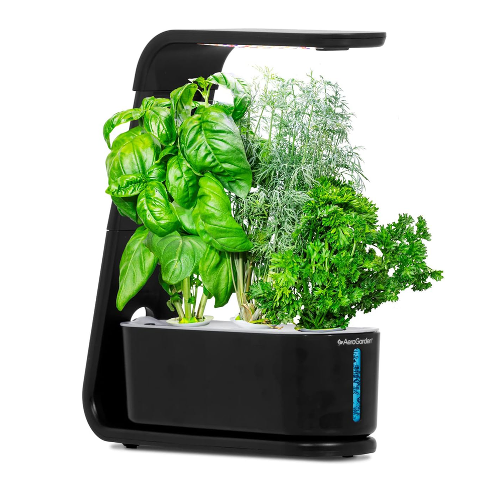 AeroGarden Sprout Indoor Garden