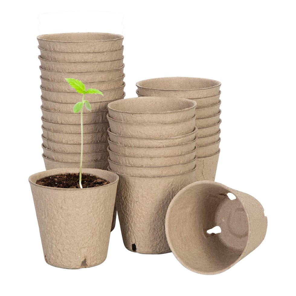 3.15-Inch Starting Pots with Drainage Holes 30-Pack