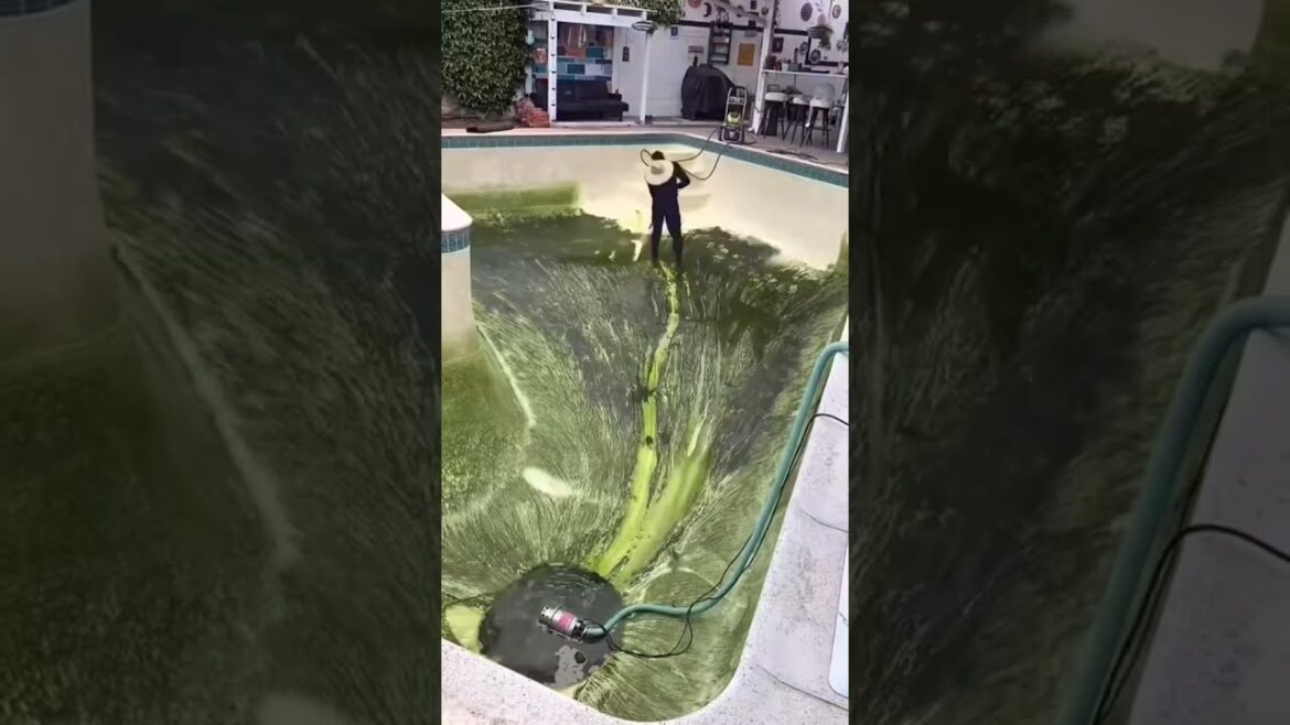 Trimming Grass  / Lawn care #grasscutting #blackheads