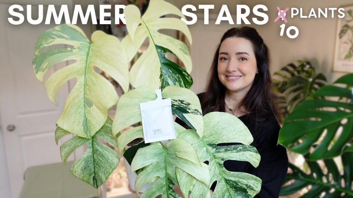 End of Summer Houseplant Favorites | September 2025 🍂☀️