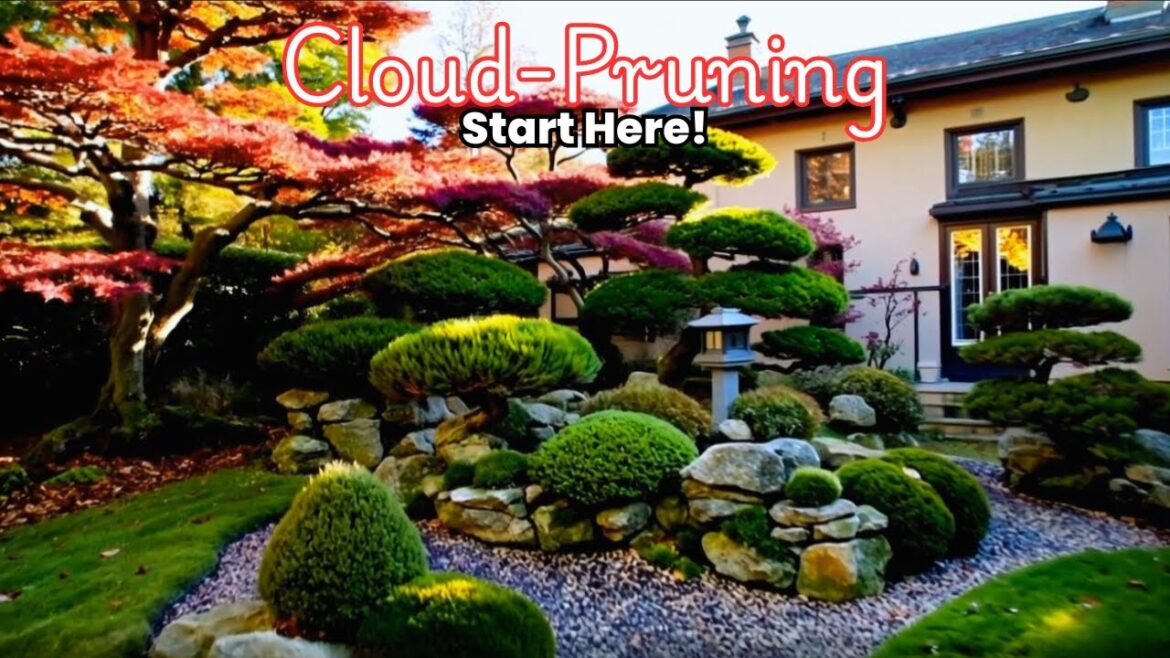 Niwaki for the Western Garden: Top 5 Trees/Shrubs to Use!