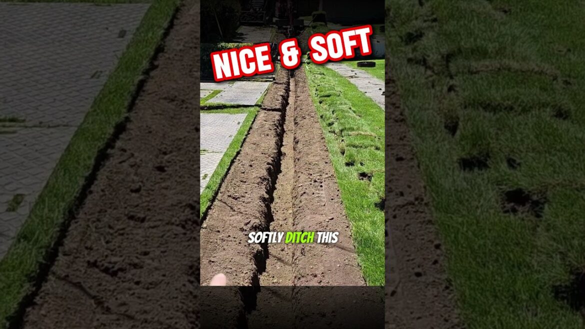 Negative Slope? No Problem! This Swale is Your Yard's Secret Weapon