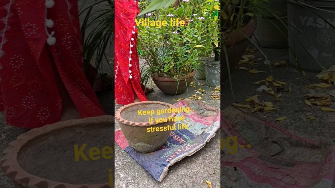 gardening#terrace garden ideas#vegetables  #dragon #dragon fruit flower#dragon plant#village