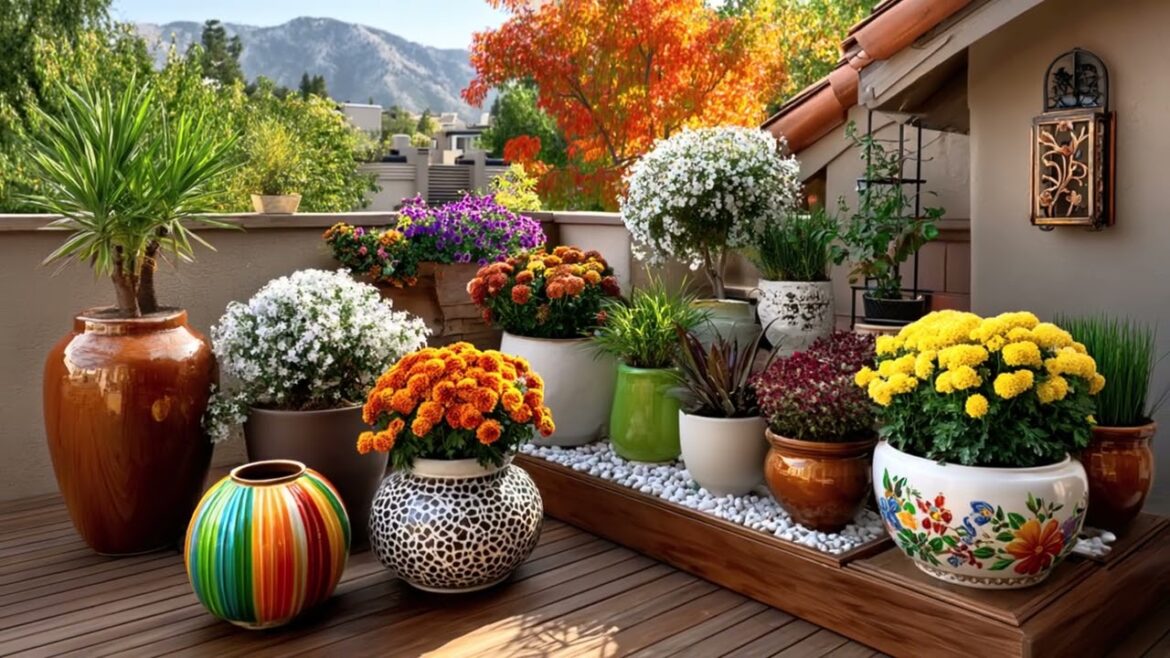 Trends 2025: Stunning Small Garden Ideas That Will Transform Your Outdoor Space 🌱✨ Trends 2025: Stunning Small Garden Ideas That Will Transform Your Outdoor Space 🌱✨
