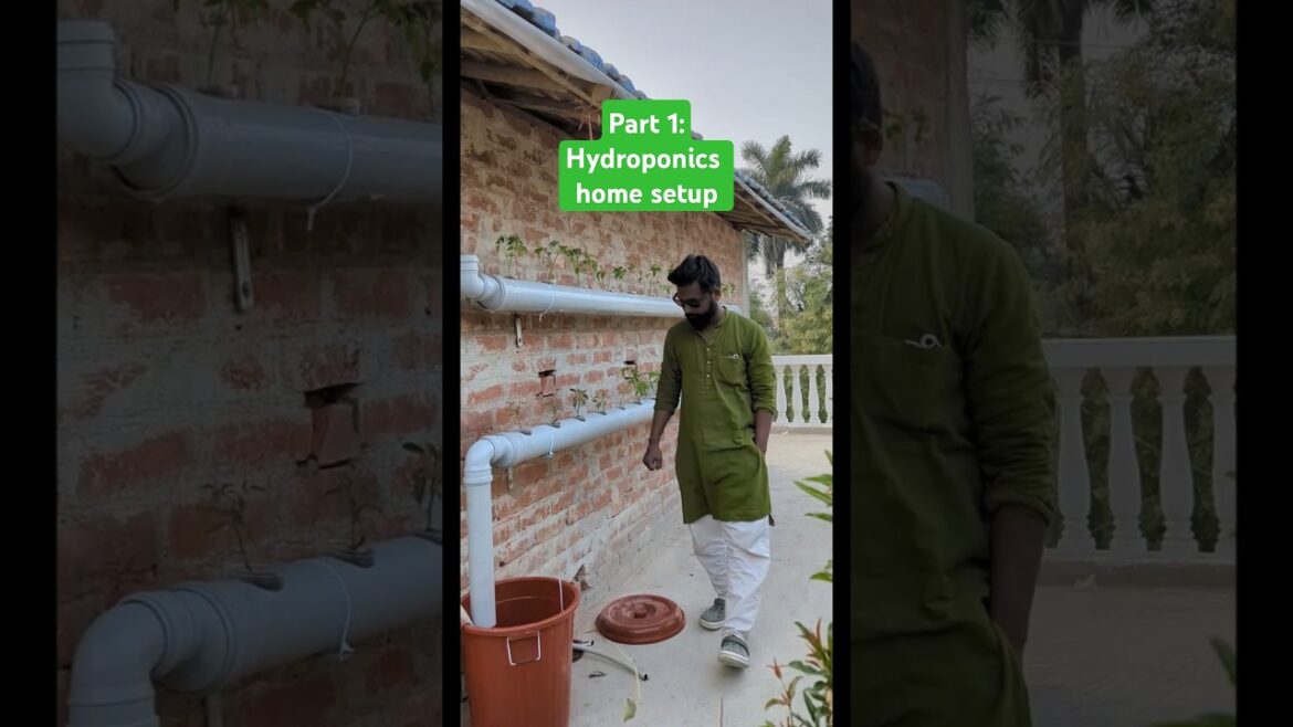 Part 1 : Hydroponics technique #terracegarderning #hydroponics #plants #aquaponics Part 1 : Hydroponics technique #terracegarderning #hydroponics #plants #aquaponics