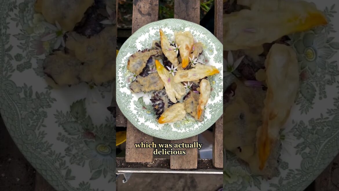 EDIBLE TULIPS 🌷 Did you know you can eat tulips? You can add them to salads, fry them #gardening EDIBLE TULIPS 🌷 Did you know you can eat tulips? You can add them to salads, fry them #gardening