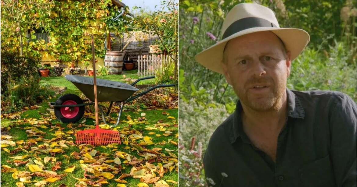 Gardener’s World star warns to skip one outdoor task this autumn that is a ‘waste of time’ Ipso logo