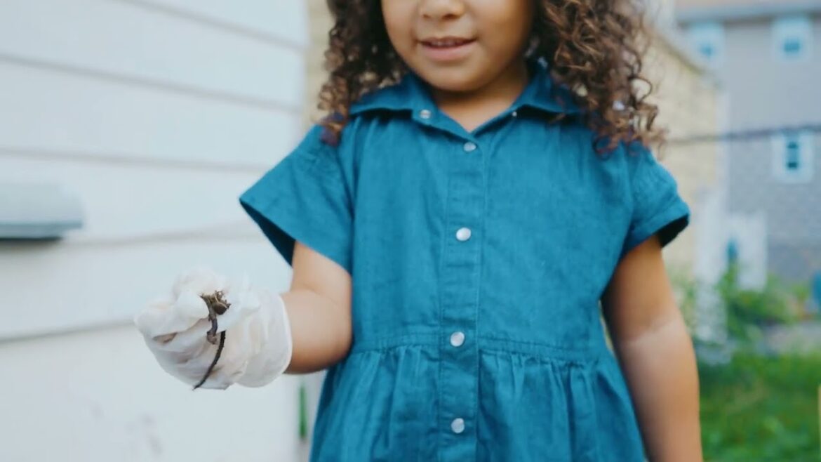 Small Space, Big Harvest 🍂 | My Fall Garden Setup in Zone 7b