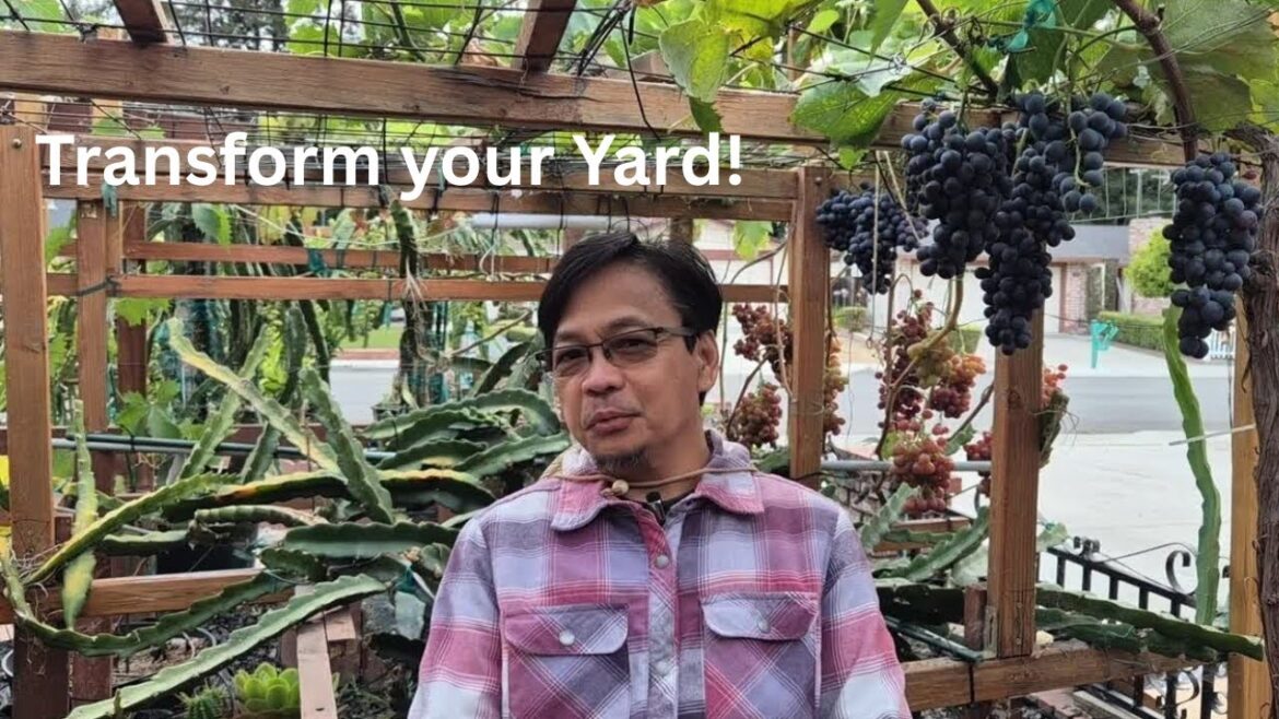 Transform your Yard, Japanese Garden, Grapes, Dragon Fruits, Dwarf Oranges, Figs & Tropical Plants