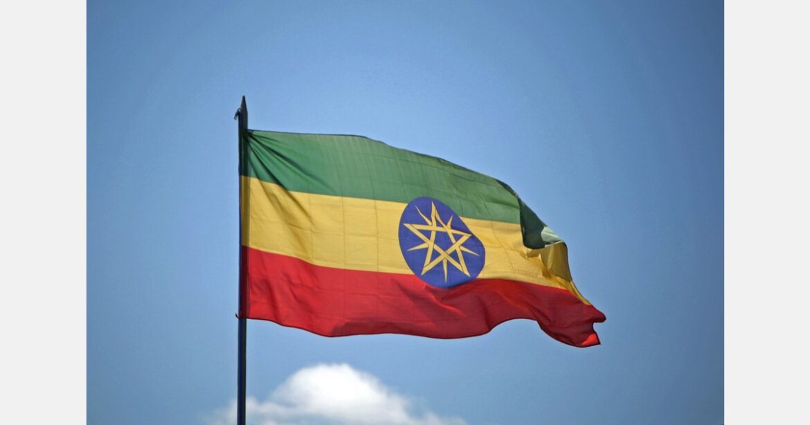 New minimum floor prices for Ethiopian flower industry New minimum floor prices for Ethiopian flower industry