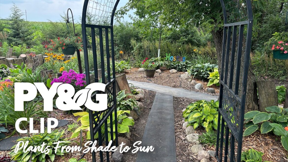 Plants From Shade to Sun | 60 Years of Garden Tips | Prairie Yard & Garden 3813