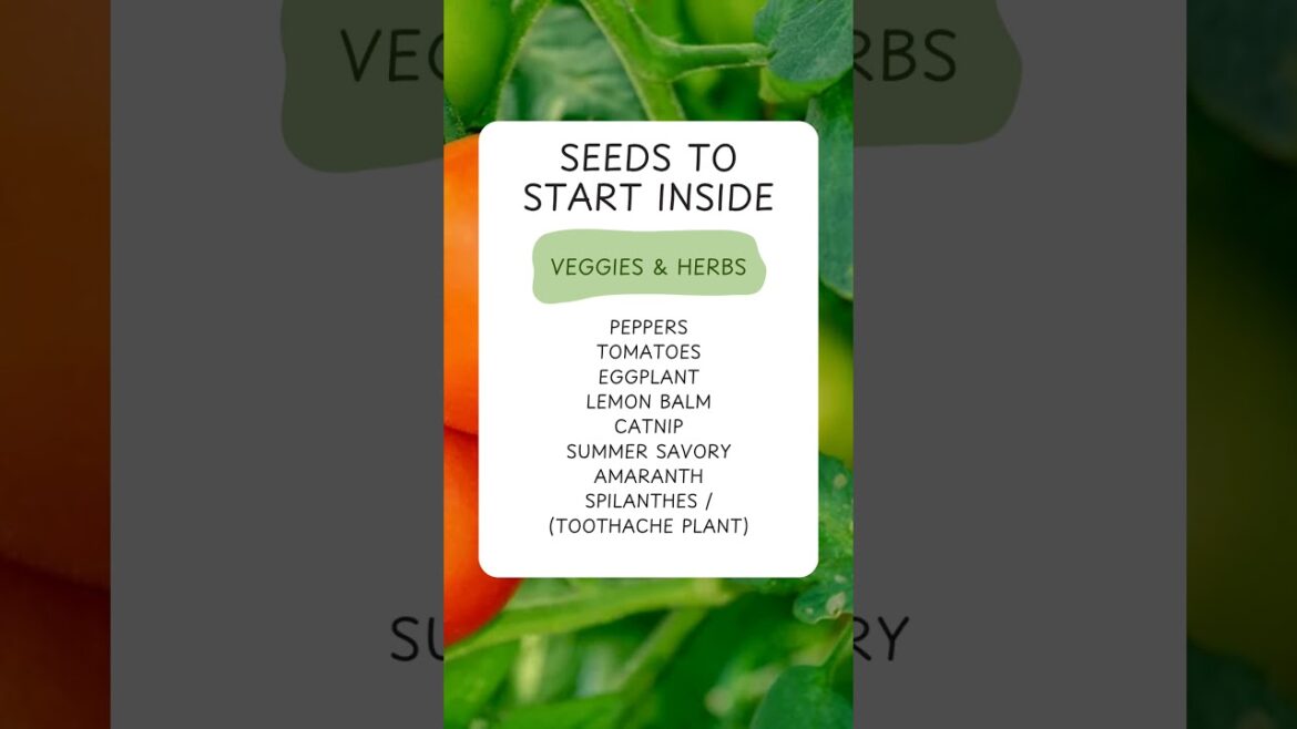 🌱 What to plant in the 3rd week of February for growing zone 8! #seedstarting #gardening #homestead