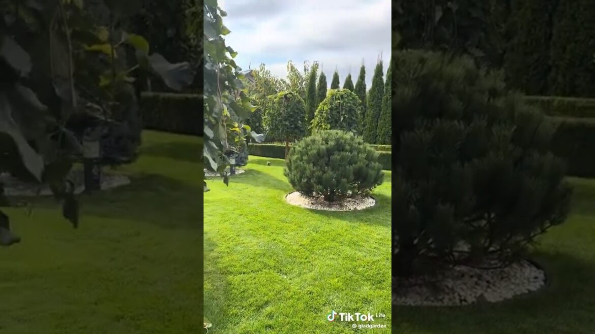 This garden design will blow your mind #youtubeshorts #landscape #gardening #youtubevloggers #diy