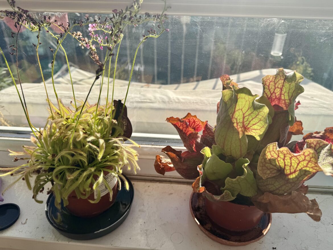 Preparing for winter and spring