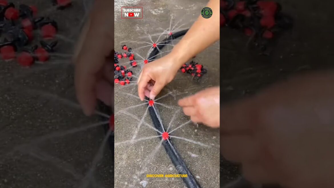 Amazing New Adjustable Drip Irrigation System for Agriculture Farms & Gardens Amazing New Adjustable Drip Irrigation System for Agriculture Farms & Gardens