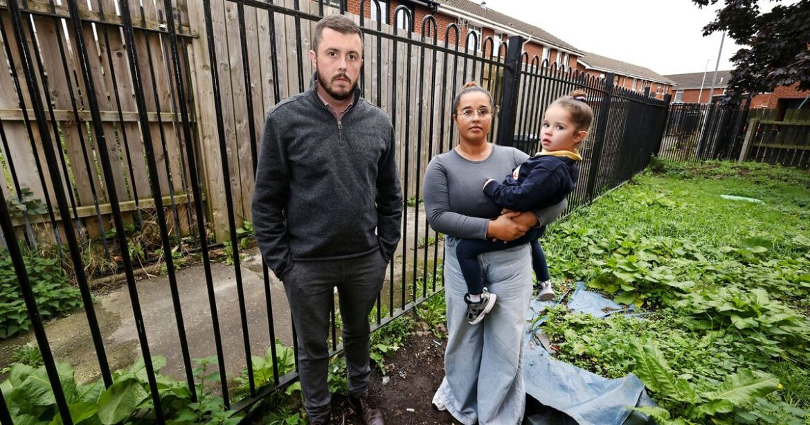 Belfast mum pleads for garden to be secured from alley where drugs are taken Ipso logo