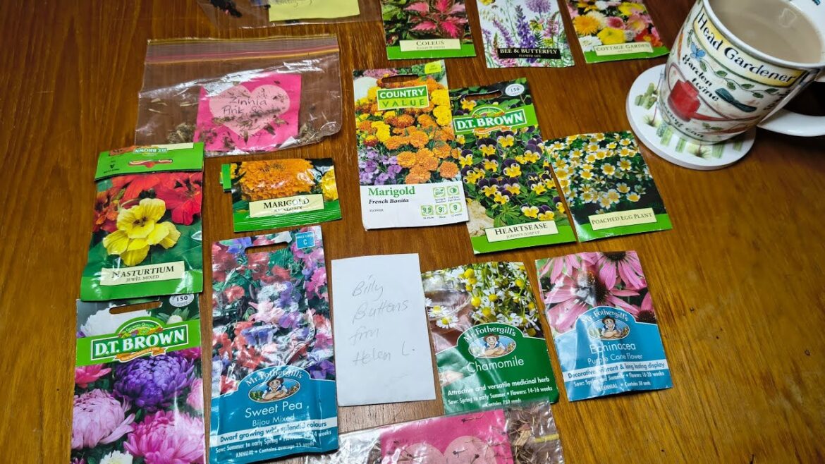 My "Mini Meadow" Flower Garden Plans & Why I'm Planting These Flowers - Reverse Homesteading