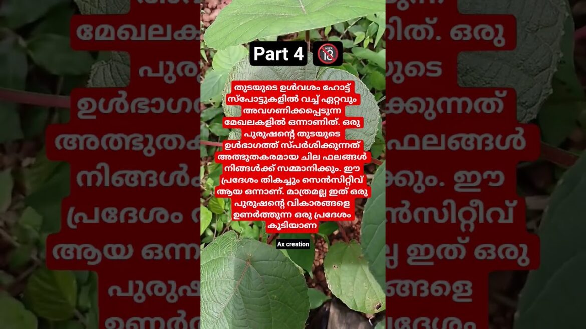 🔞part 4..തുടയുടെ ഉൾവശം 🙄#viral #motiationalspeech #motivationalquotes #statusmotivational #foryou