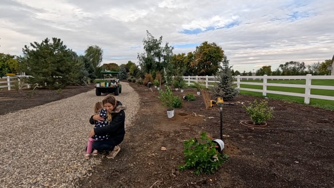 Windy Planting Day: Snowfire Aronia, Haywire Cypress & a Few Bulbs! 💨🌿🌲 // Garden Answer
