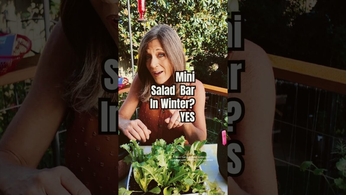 What to Plant in October?