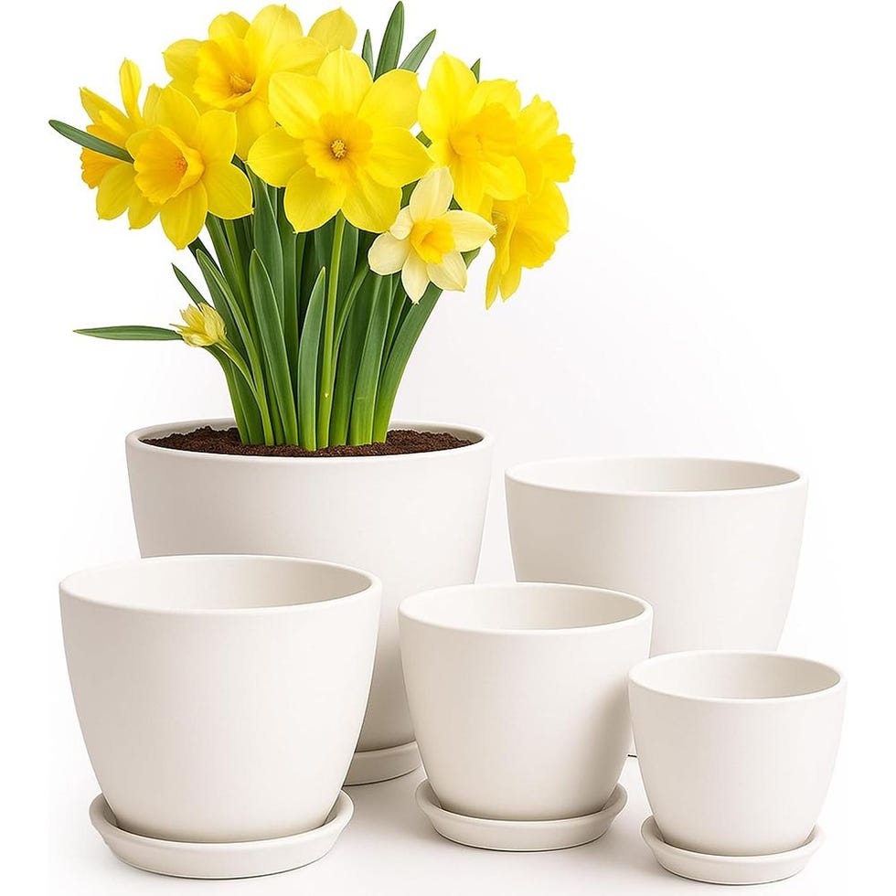 Indoor Flower Pots