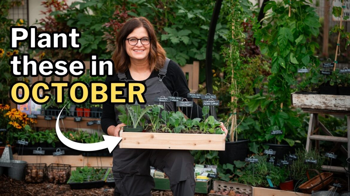 OCTOBER PLANTING GUIDE: Top Veggies, Flowers, and Herbs for Your Fall Garden OCTOBER PLANTING GUIDE: Top Veggies, Flowers, and Herbs for Your Fall Garden