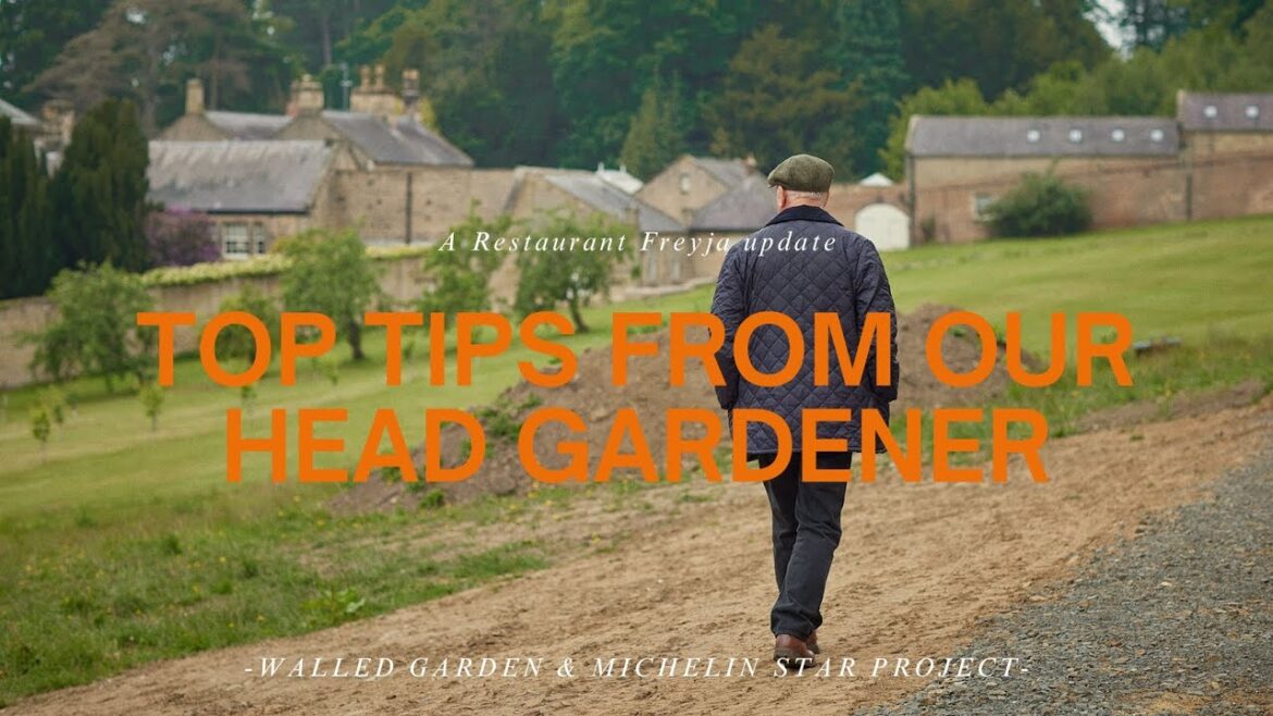 Top Gardening Tips from Our Head Gardener | Walled Garden & Michelin Star Project Top Gardening Tips from Our Head Gardener | Walled Garden & Michelin Star Project