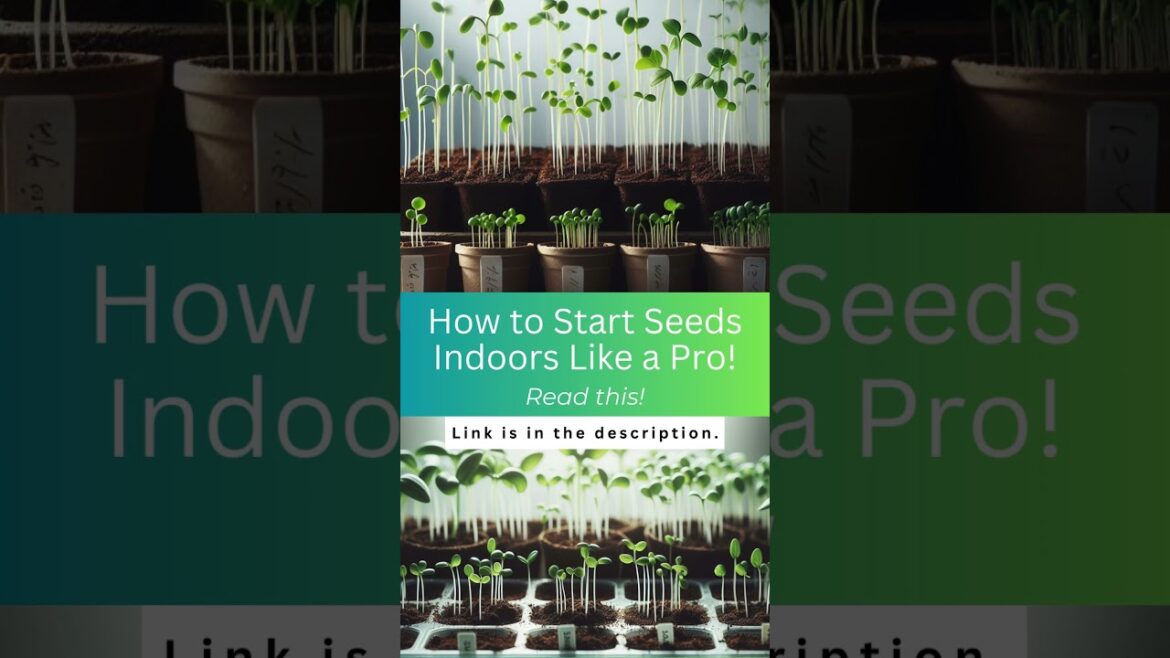 How to Start Seeds Indoors Like a Pro. Read this #seeds #shorts