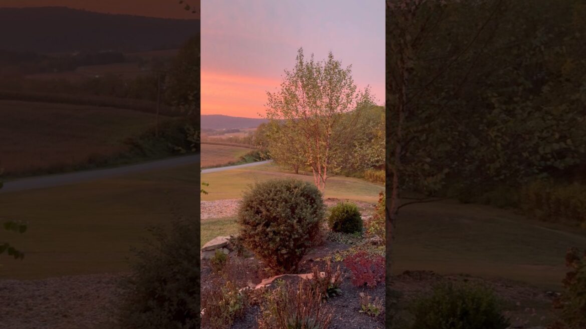 Stunning Front Yard Landscape at Sunset | Curb Appeal Inspiration Stunning Front Yard Landscape at Sunset | Curb Appeal Inspiration