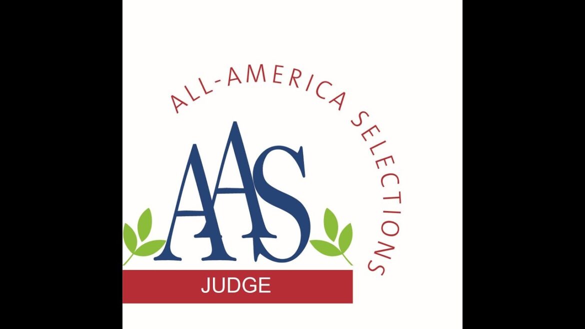 2025 09 28 AAS Judges meeting