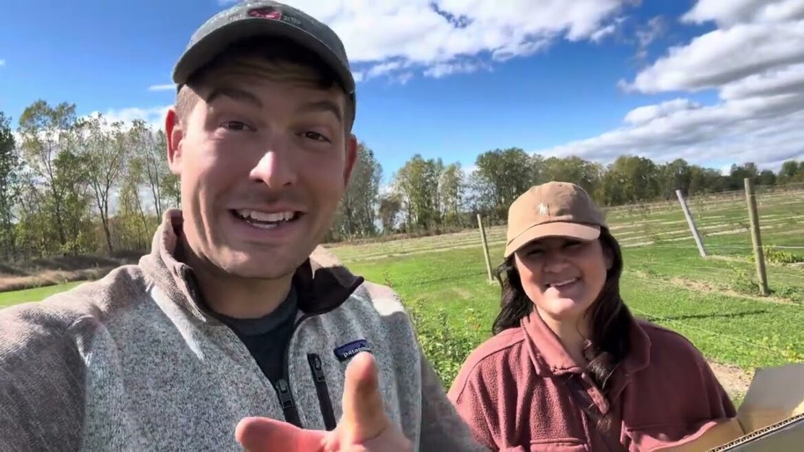 What Will The DNA Test Reveal?