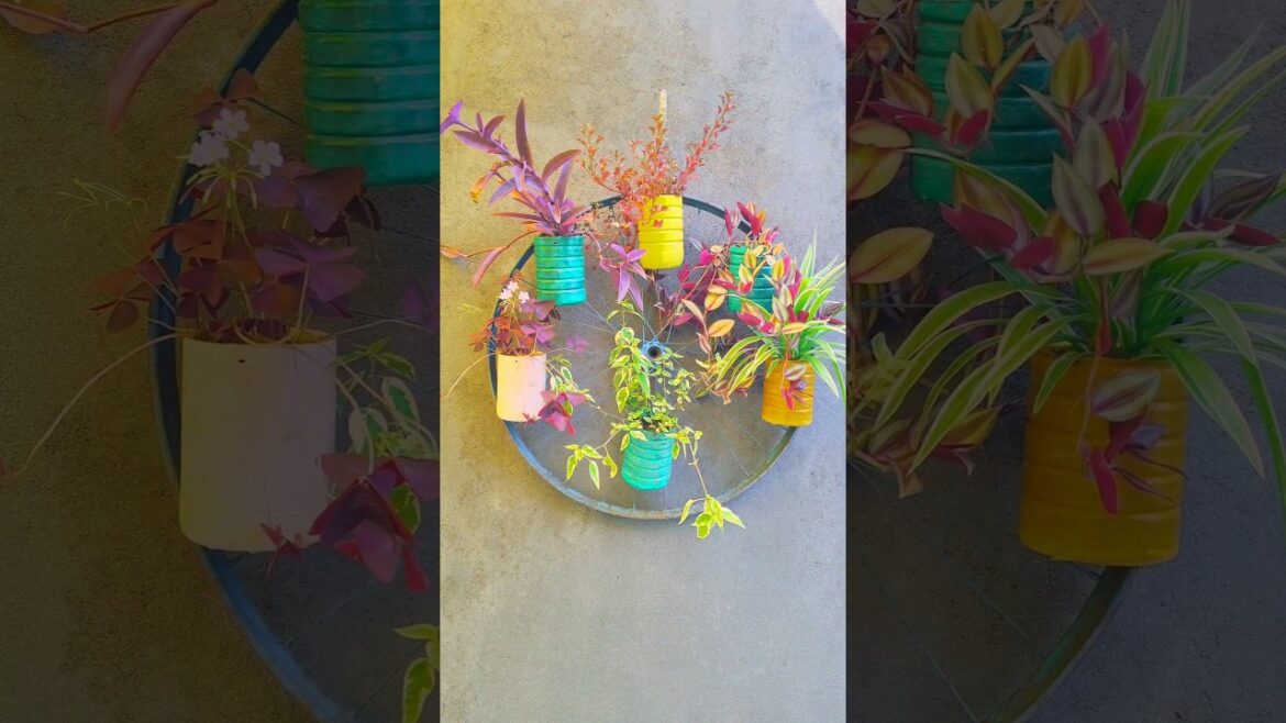 vertical Garden Decoration Tips | Tips For Vertical Garden #shorts #shortsvideo #gardening vertical Garden Decoration Tips | Tips For Vertical Garden #shorts #shortsvideo #gardening