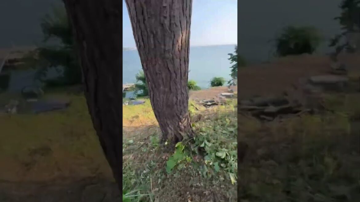 Epic Clean Up … 3 days NON-Stop Cleaning. From Gross to Glamour #landscape #lawnmaintenance