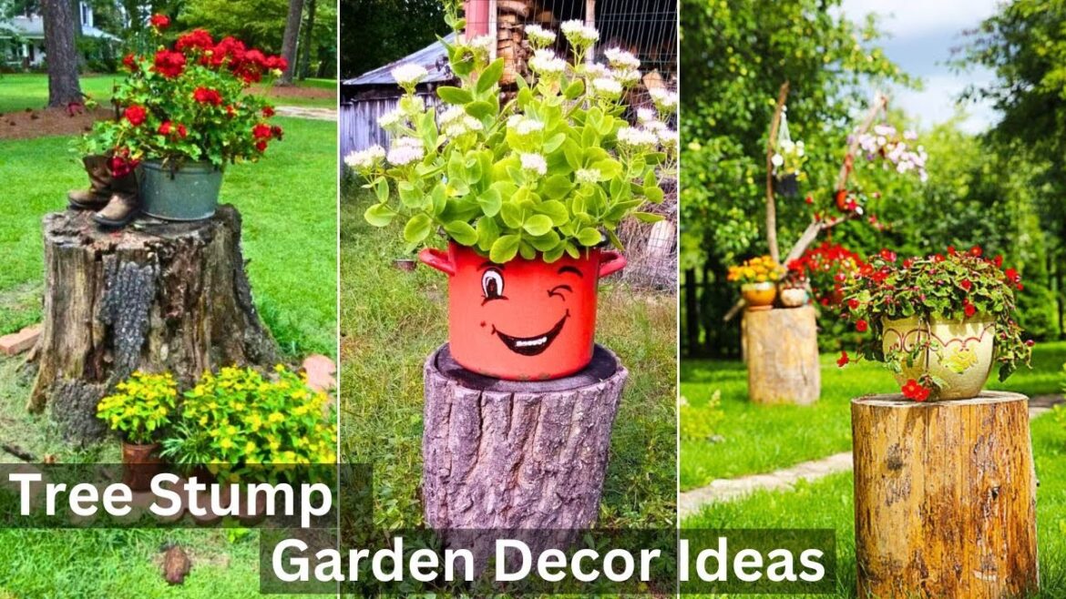 30 Lovely Tree Stump Garden Decor Ideas | stump planters #treestump#planter#garden#diy 30 Lovely Tree Stump Garden Decor Ideas | stump planters #treestump#planter#garden#diy
