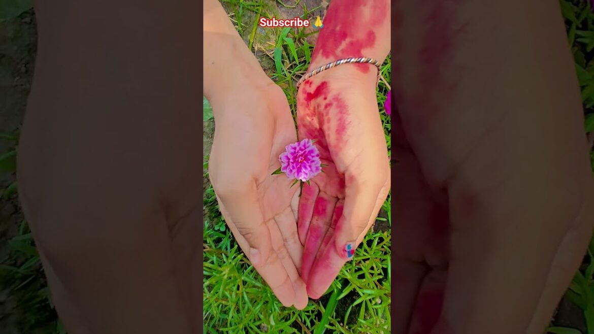 ফুল নিয়ে টিকটিক #gardening #youtubeshorts #UpdateGardening #garden #youtubeshort #flowers #rose