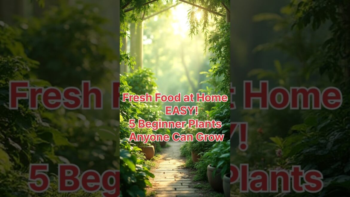 5 Easy Plants for a Thriving Eco Garden #Grow a garden stock live 5 Easy Plants for a Thriving Eco Garden #Grow a garden stock live
