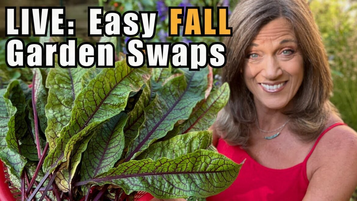 CaliKim: LIVE: 4 Easy Fall Garden Swaps Every Gardener Should Do LIVE: 4 Easy Fall Garden Swaps Every Gardener Should Do